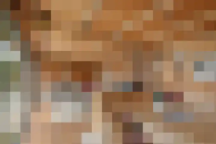 Mandenmakersgilde 2 Dronten thumbnail 47