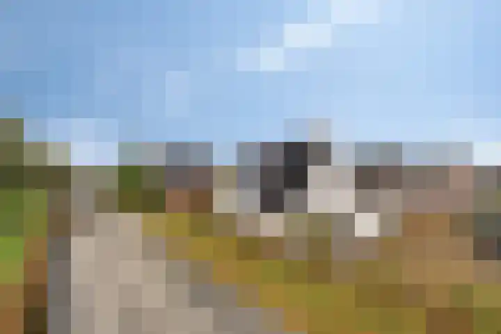 Mandenmakersgilde 2 Dronten thumbnail 48