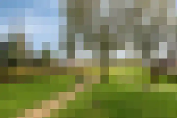 Mandenmakersgilde 2 Dronten thumbnail 50