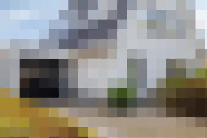 Mandenmakersgilde 2 Dronten thumbnail 7