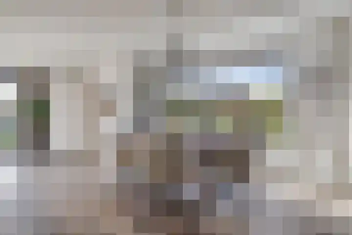 Mandenmakersgilde 2 Dronten thumbnail 9