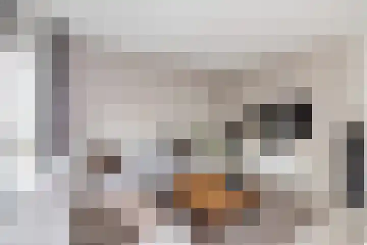 Mandenmakersgilde 3 Dronten thumbnail 10