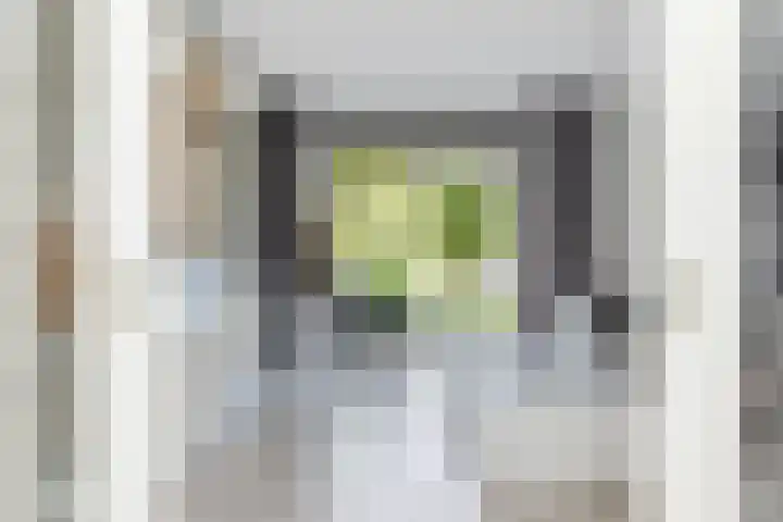 Mandenmakersgilde 3 Dronten thumbnail 13