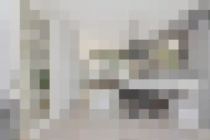 Mandenmakersgilde 3 Dronten thumbnail 15