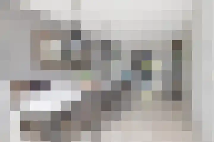 Mandenmakersgilde 3 Dronten thumbnail 16