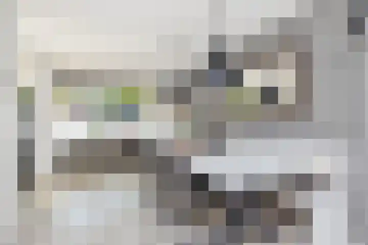 Mandenmakersgilde 3 Dronten thumbnail 17