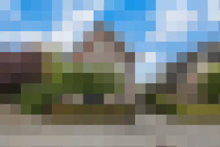 Mandenmakersgilde 3 Dronten foto 2