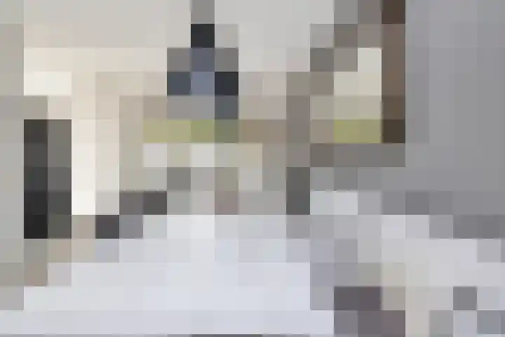 Mandenmakersgilde 3 Dronten thumbnail 20