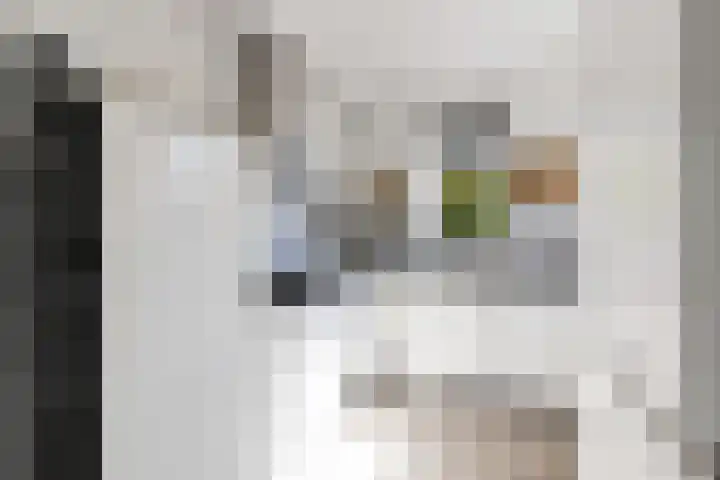 Mandenmakersgilde 3 Dronten thumbnail 25