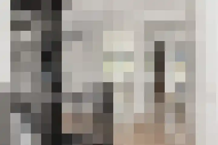 Mandenmakersgilde 3 Dronten thumbnail 28