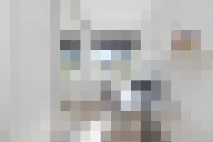 Mandenmakersgilde 3 Dronten thumbnail 33