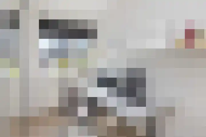 Mandenmakersgilde 3 Dronten thumbnail 34