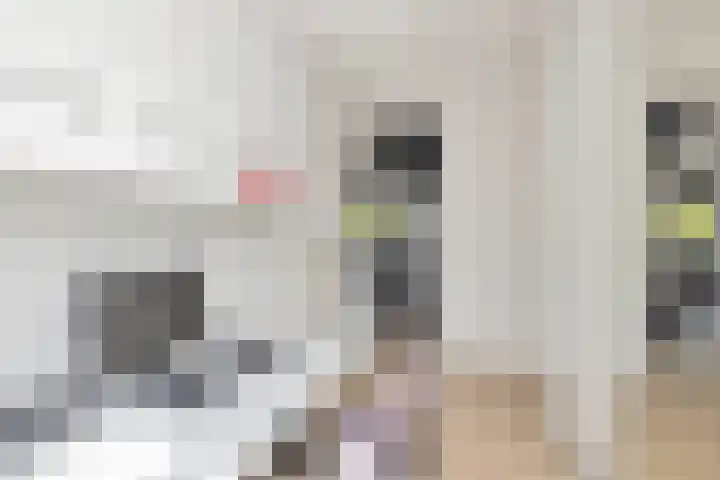 Mandenmakersgilde 3 Dronten thumbnail 35