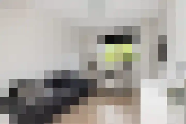 Mandenmakersgilde 3 Dronten thumbnail 36