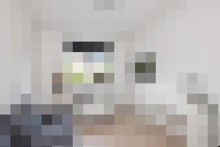 Mandenmakersgilde 3 Dronten thumbnail 37