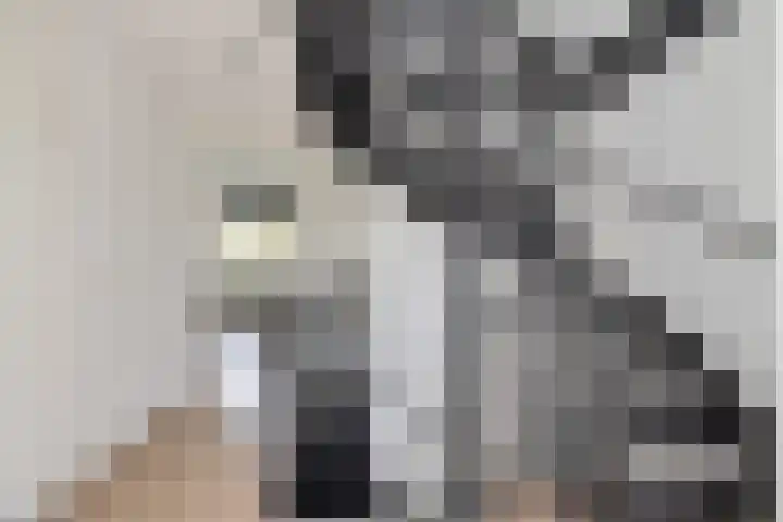 Mandenmakersgilde 3 Dronten thumbnail 44