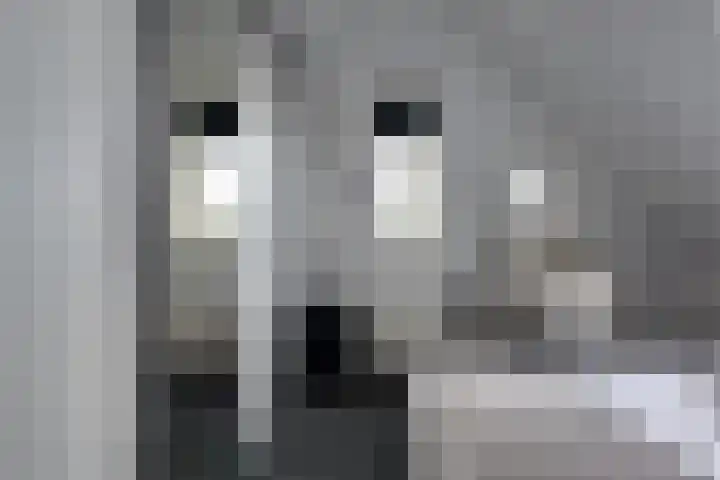 Mandenmakersgilde 3 Dronten thumbnail 46