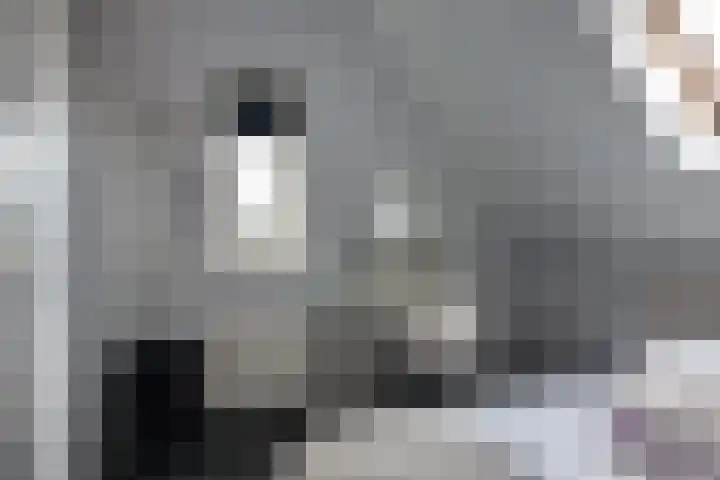 Mandenmakersgilde 3 Dronten thumbnail 47