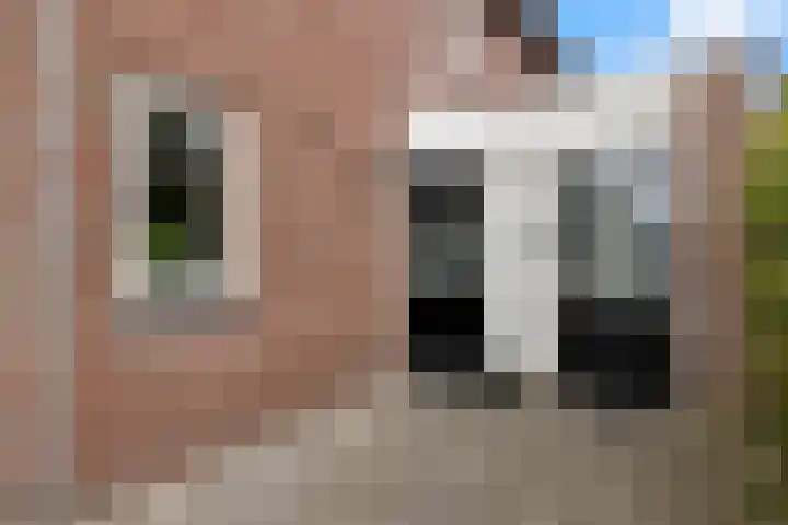 Mandenmakersgilde 3 Dronten thumbnail 5