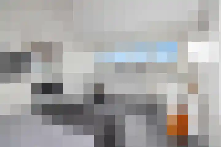 Mandenmakersgilde 3 Dronten thumbnail 52