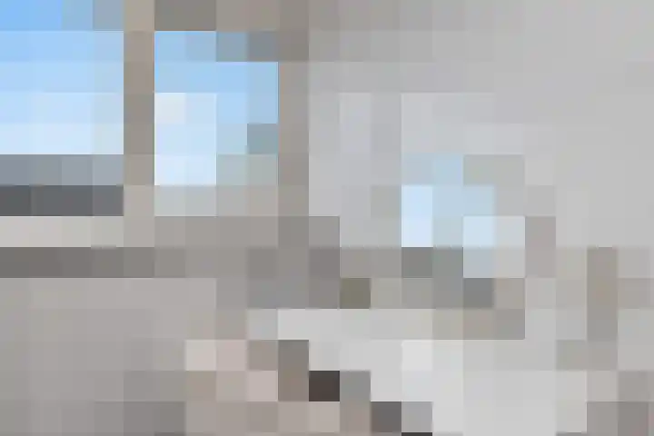 Mandenmakersgilde 3 Dronten thumbnail 54