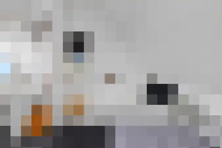 Mandenmakersgilde 3 Dronten thumbnail 55