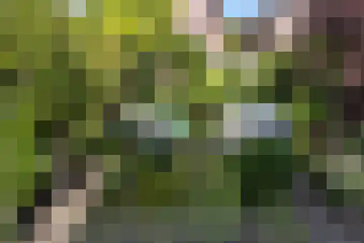 Mandenmakersgilde 3 Dronten thumbnail 56