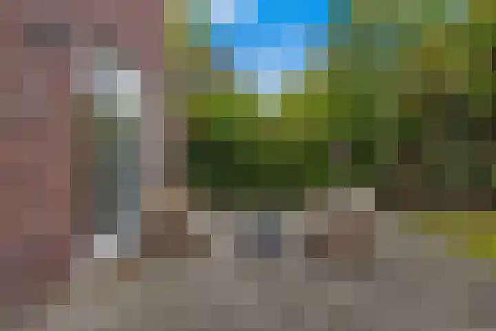 Mandenmakersgilde 3 Dronten thumbnail 57