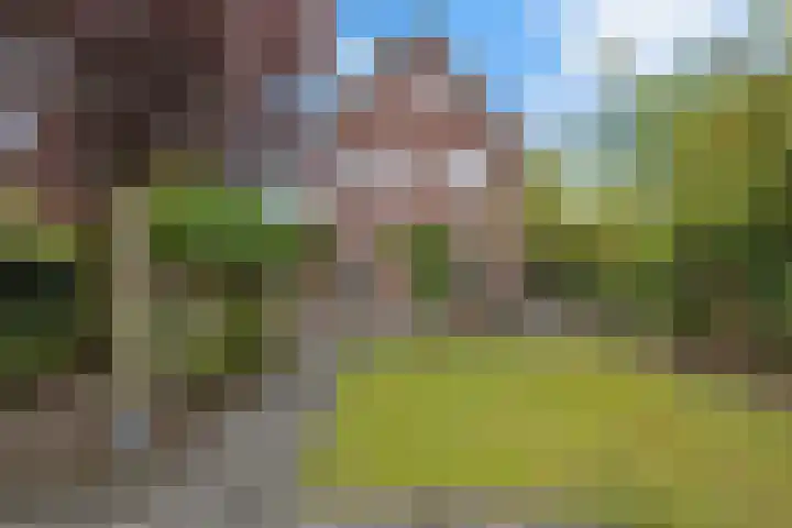 Mandenmakersgilde 3 Dronten thumbnail 58