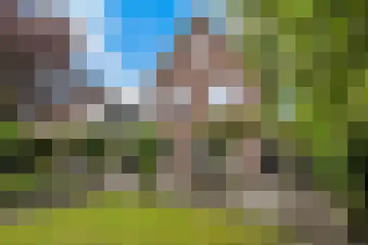 Mandenmakersgilde 3 Dronten thumbnail 59