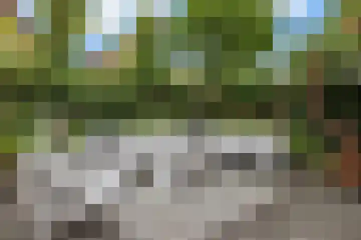 Mandenmakersgilde 3 Dronten thumbnail 60