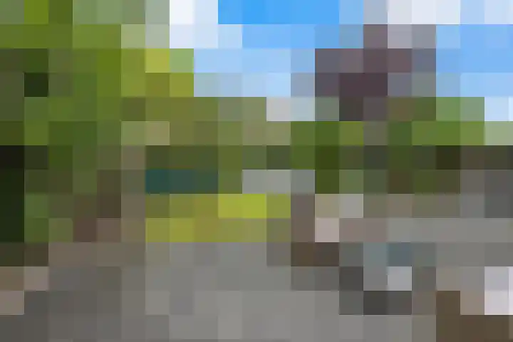 Mandenmakersgilde 3 Dronten thumbnail 61