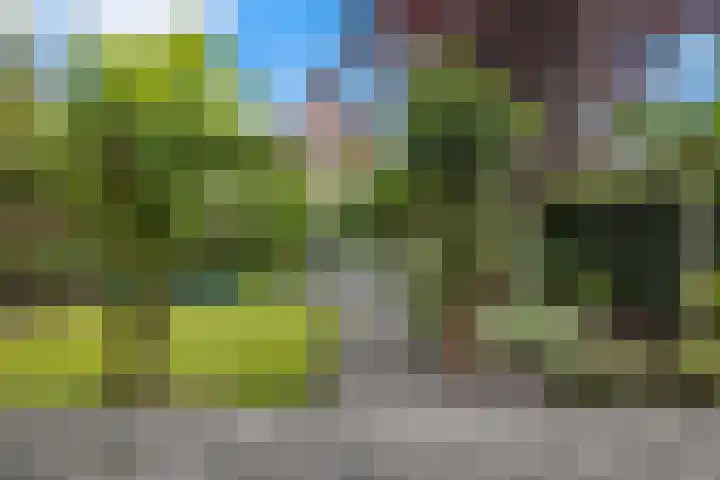 Mandenmakersgilde 3 Dronten thumbnail 62