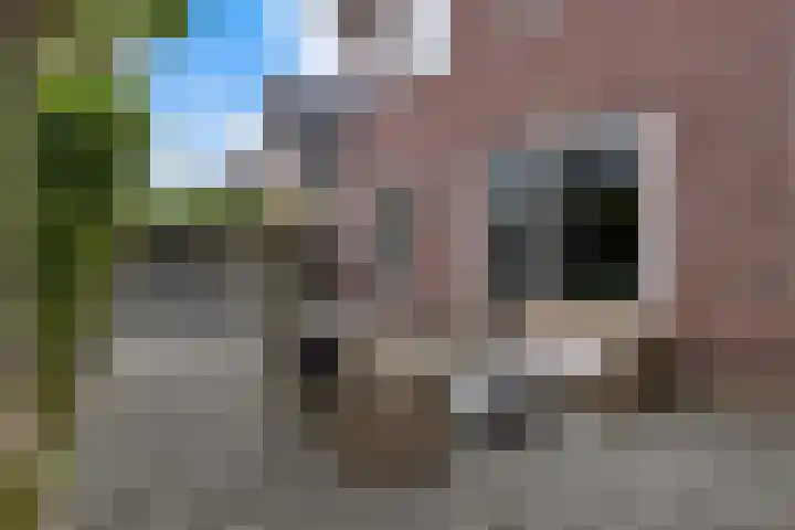 Mandenmakersgilde 3 Dronten thumbnail 63