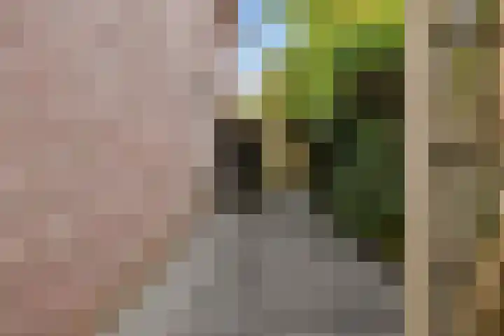 Mandenmakersgilde 3 Dronten thumbnail 64