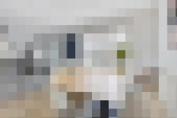 Mandenmakersgilde 38 Dronten thumbnail 15