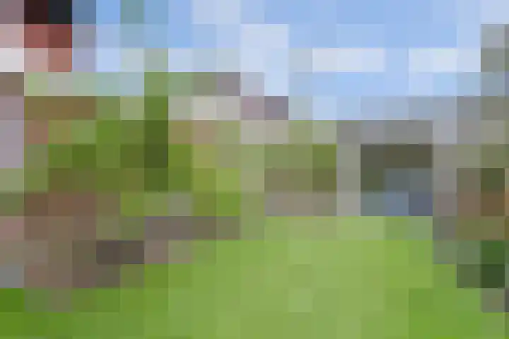 Mandenmakersgilde 38 Dronten thumbnail 40
