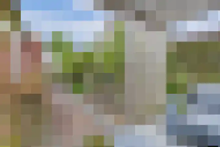 Mandenmakersgilde 38 Dronten thumbnail 44