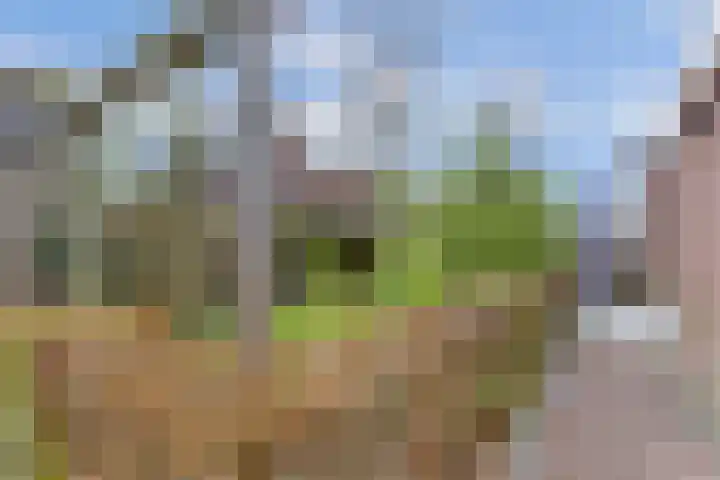 Mandenmakersgilde 38 Dronten thumbnail 45