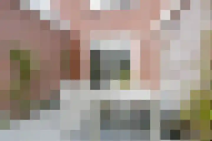 Mandenmakersgilde 38 Dronten thumbnail 48