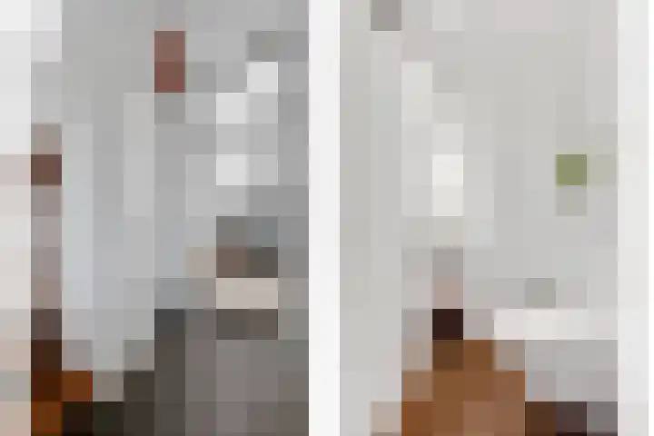 Mandenmakersgilde 38 Dronten thumbnail 50