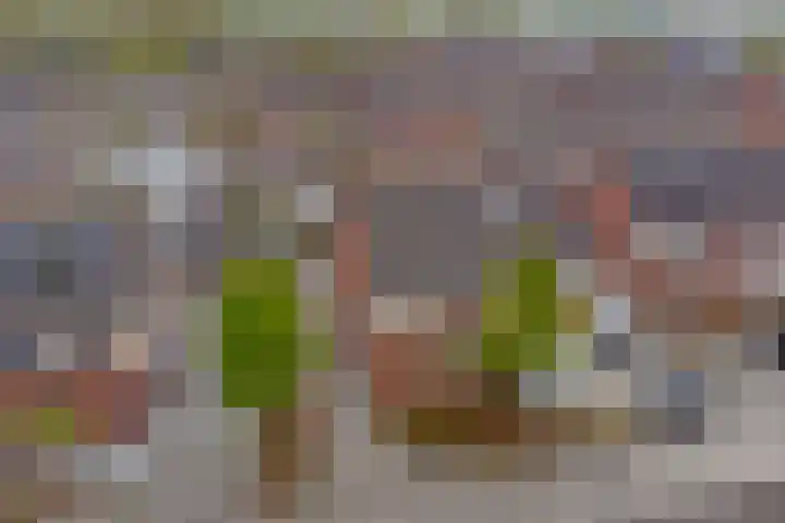 Mandenmakersgilde 38 Dronten thumbnail 52