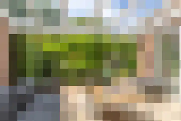 Mandenmakerslaan 27 De Meern thumbnail 21