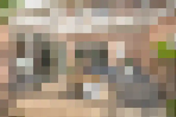 Mandenmakerslaan 27 De Meern thumbnail 23