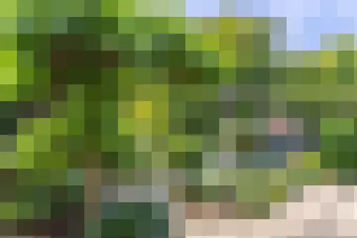 Mandenmakerslaan 27 De Meern thumbnail 26