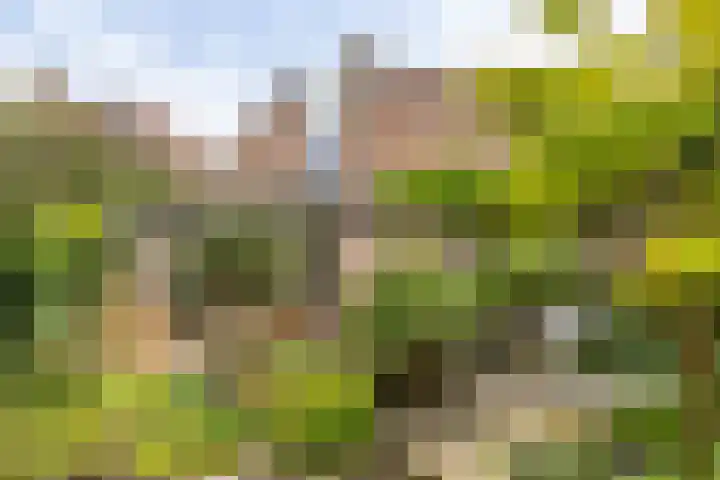 Mandenmakerslaan 27 De Meern thumbnail 30