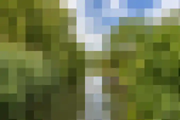 Mandenmakerslaan 27 De Meern thumbnail 53