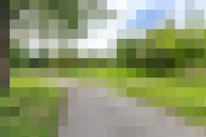 Mandenmakerslaan 27 De Meern thumbnail 54