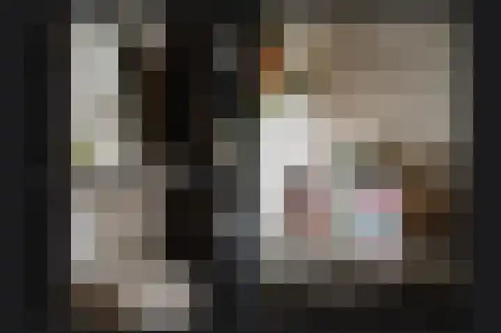 Mandenmakersstraat 4 Kerkdriel thumbnail 24
