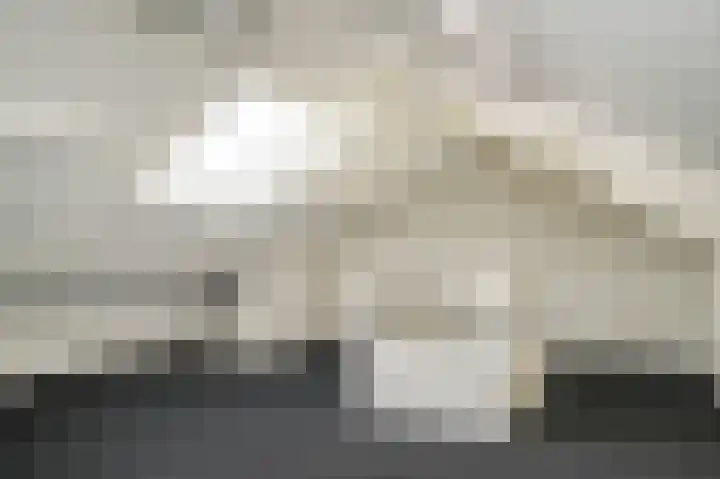 Mandenmakersstraat 4 Kerkdriel thumbnail 29